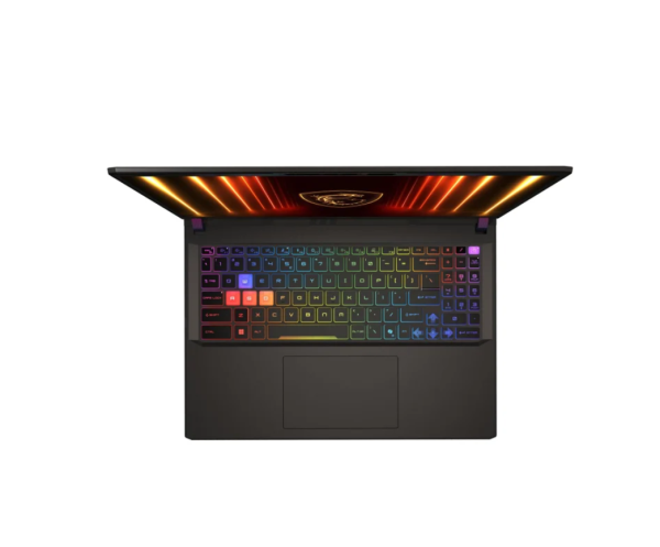 MSI Vector 16 HX Ultra 9-275HX/16GB/1TB/Win11 RTX5080